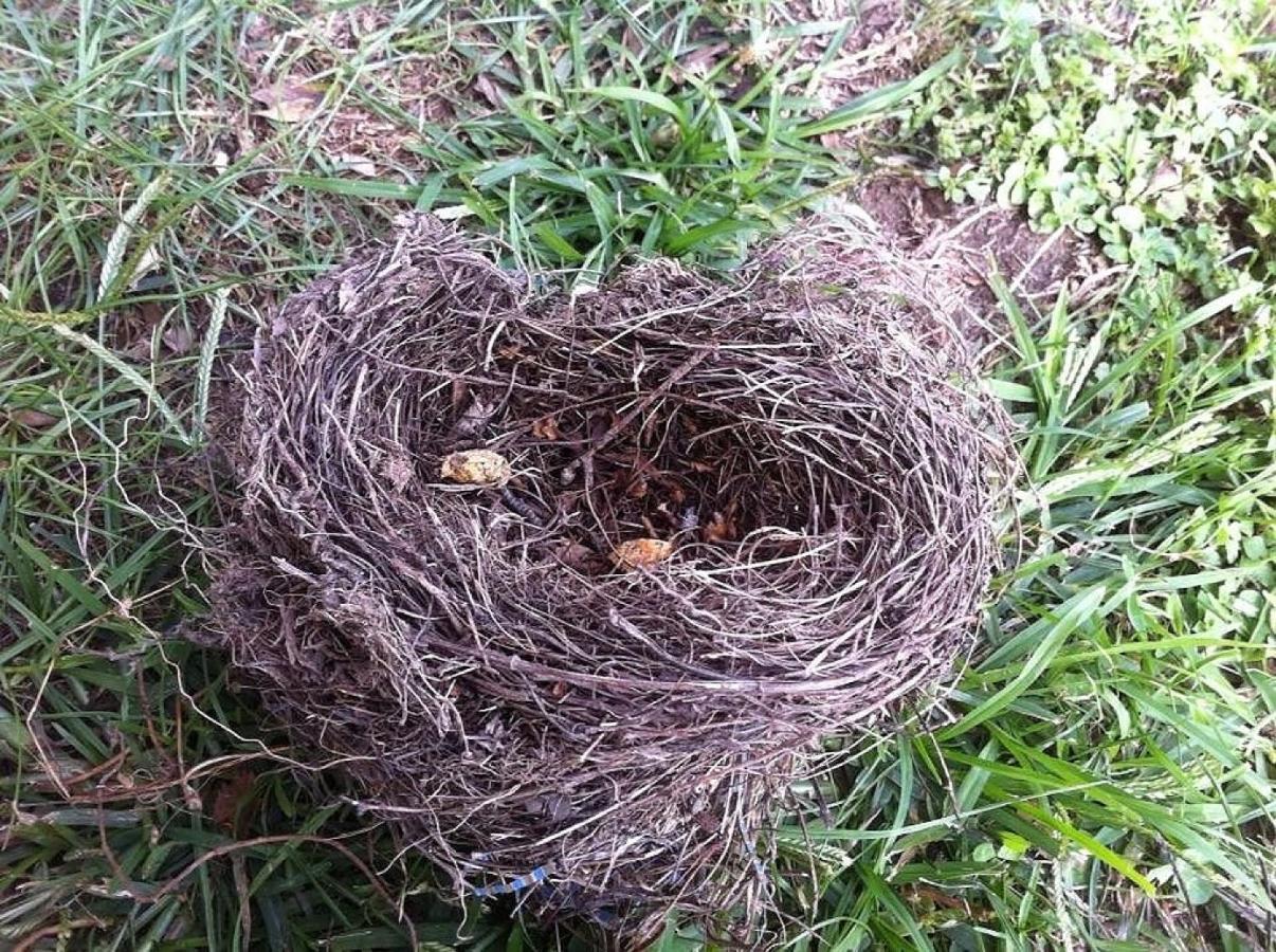 Ca' Storta una romantica baita fra i monti Gravedona Esterno foto